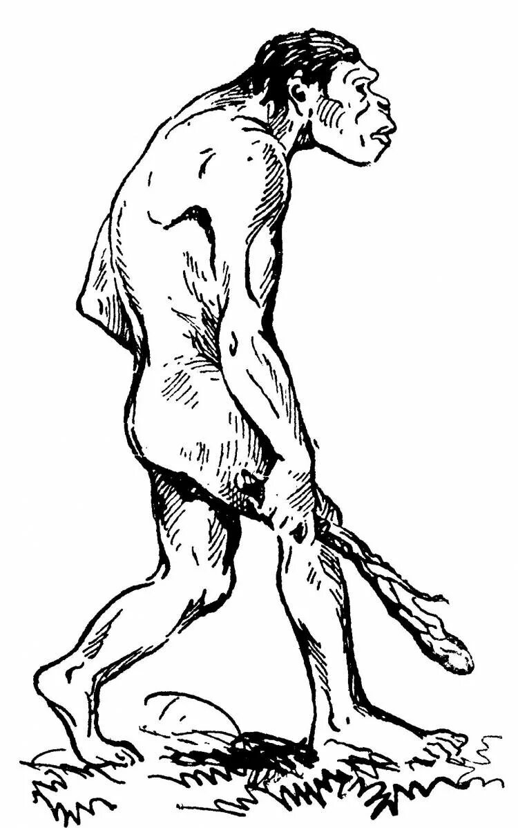 Древний человек питекантроп. Неандерталец древний человек рисунок. Питекантроп эпоха. Нарисовать первобытного человека. Нарисовать первобытного