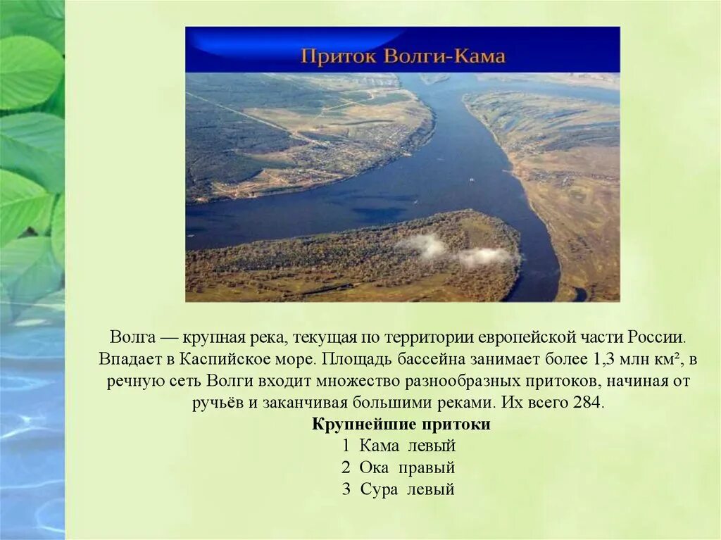 Волга река. Река Волга впадает в Каспийское. Волга впадает в Каспийское море. Впадение реки Волги в Каспийское море. Сколько воды в волге