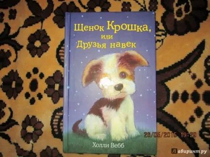 Щенок любимчик