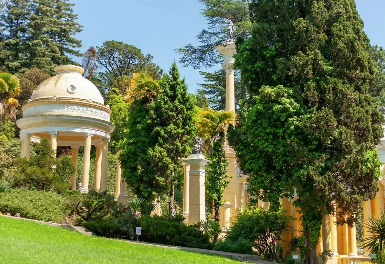 Дендрарий кипарисовая роща сочи. Дендрарий сочи железнодорожный вокзал. Парк дендрарий сочи схема. Билеты парк дендрарий сочи. Дендрарий сочи схема парка путеводитель.