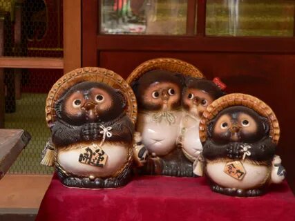 Tanuki товары из японии