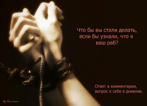 Стихи я люблю тебя любимая. Красивая песня текст. Цитаты про рабов. Стихи про славян. Люди рабы.