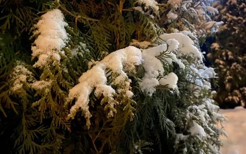 23 декабря приметы