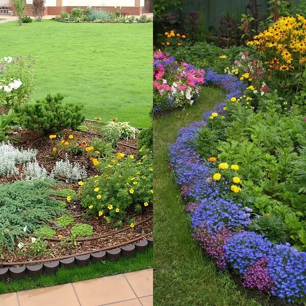 Рабатка тунберга. Красивые прямоугольные клумбы. Прямоугольная клумба в городе. Клумба прямоугольной формы окружена. Красивые клумбы.