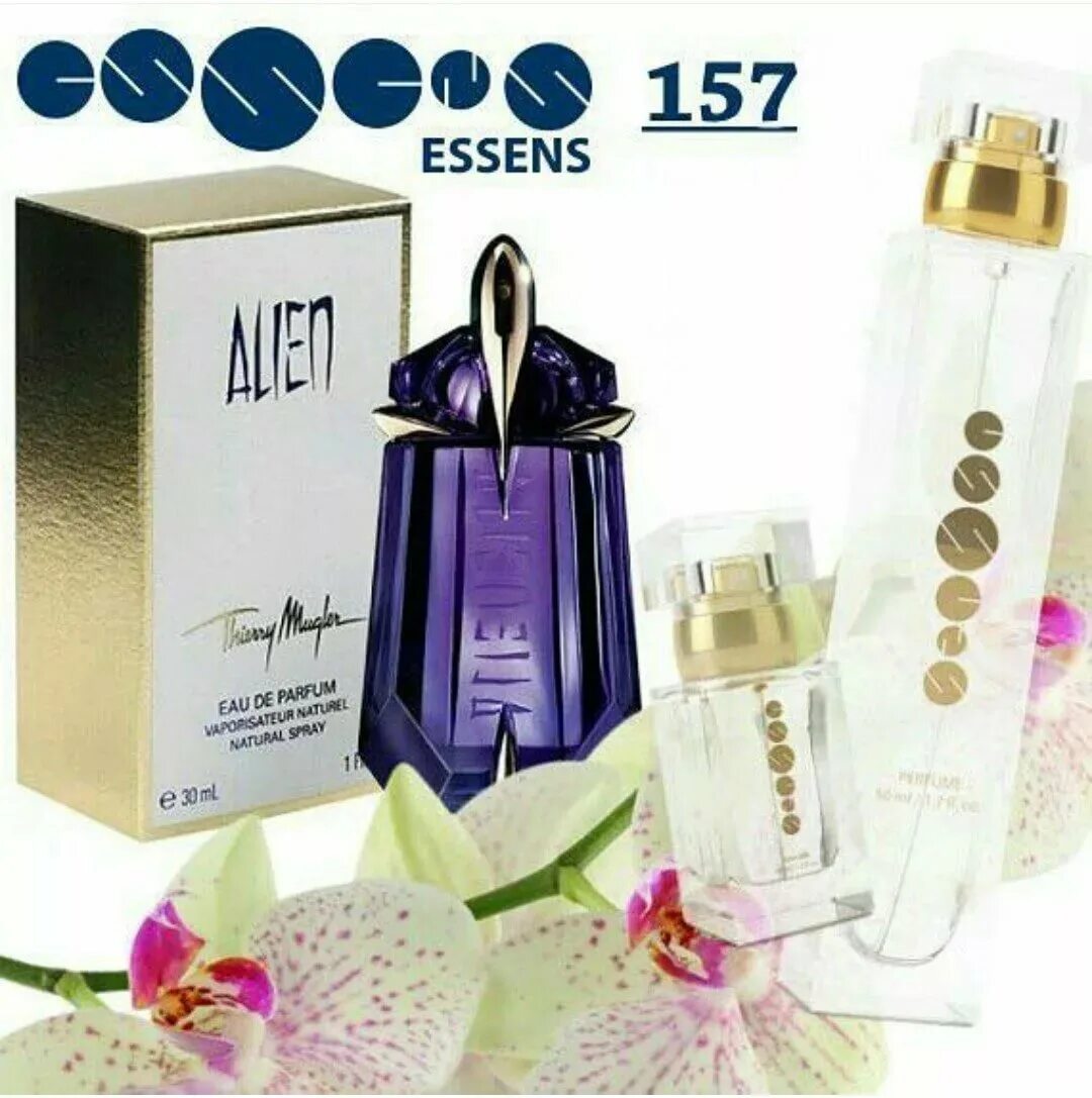 эссенс 113 аромат. ароматы духов essence. ароматы духов essence. ароматы духов essence. аромат духов эссенс w154.