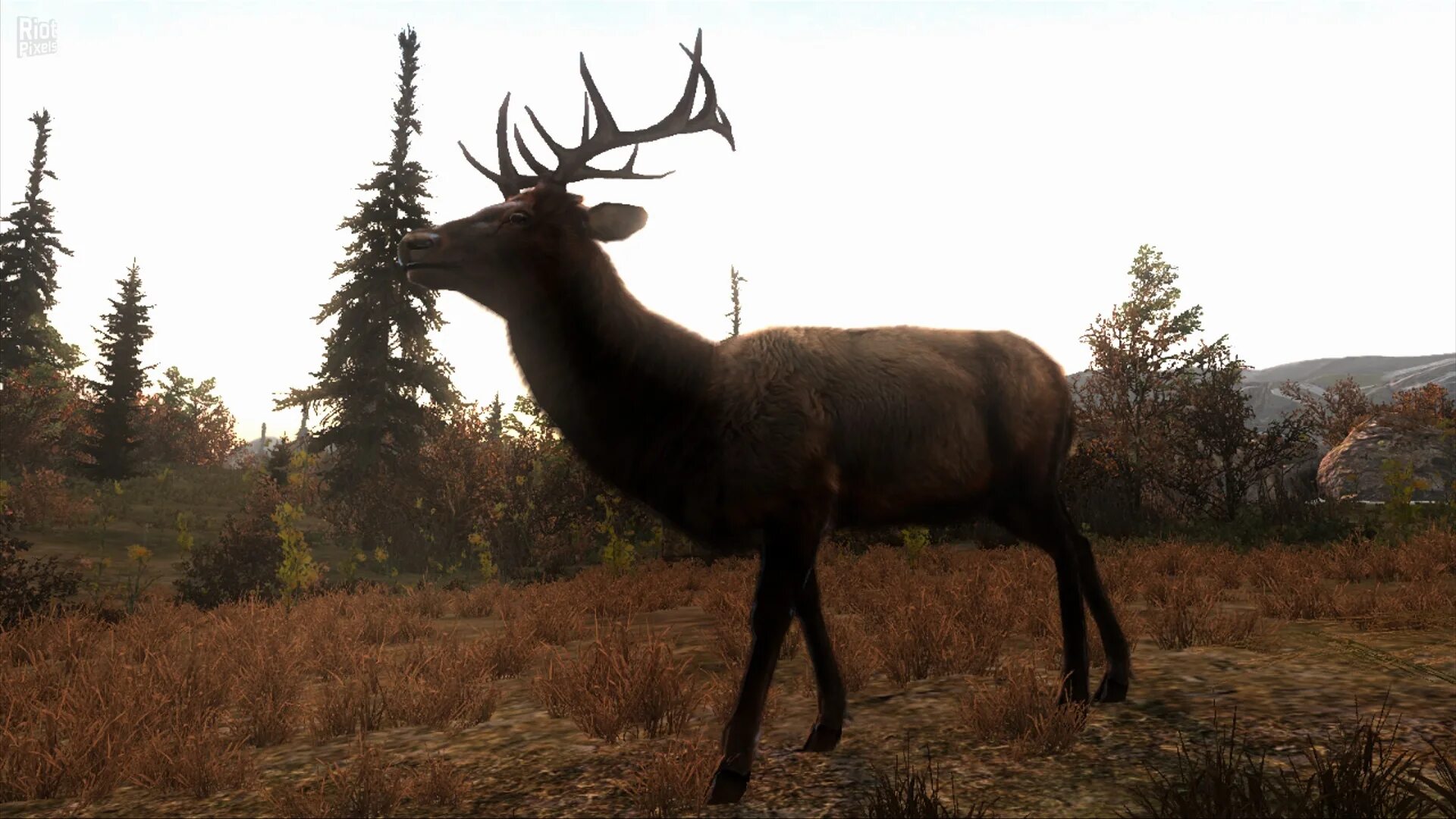 Cabela&#039;s big game hunts 2014. Cabela&#039;s big hunter. охота cabela&#039;s big game hunter. cabela’s big game hunter 2012. big game hunter 2014.