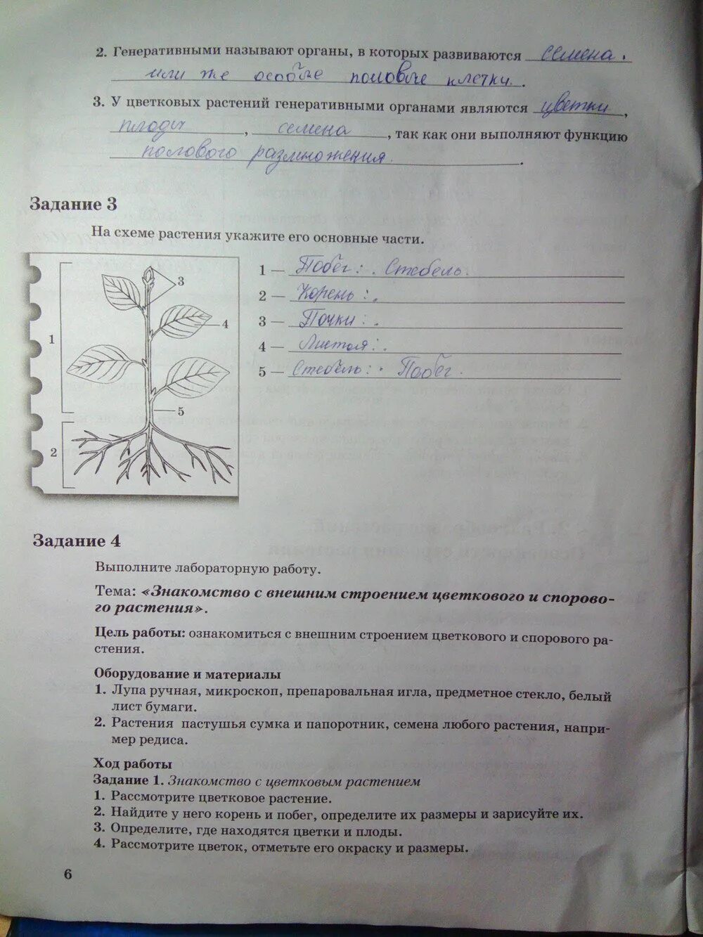 Пономарева 6 класс контрольные работы. Биология 6 класс рабочая пономарева корнилова 2 часть. биология рабочая тетрадь номер 1 пономарева корнилова кучменко. тетрадь по биологии и корнилова пономарева 6 класс. биология 6 пономарева кучменко корнилова учебник.