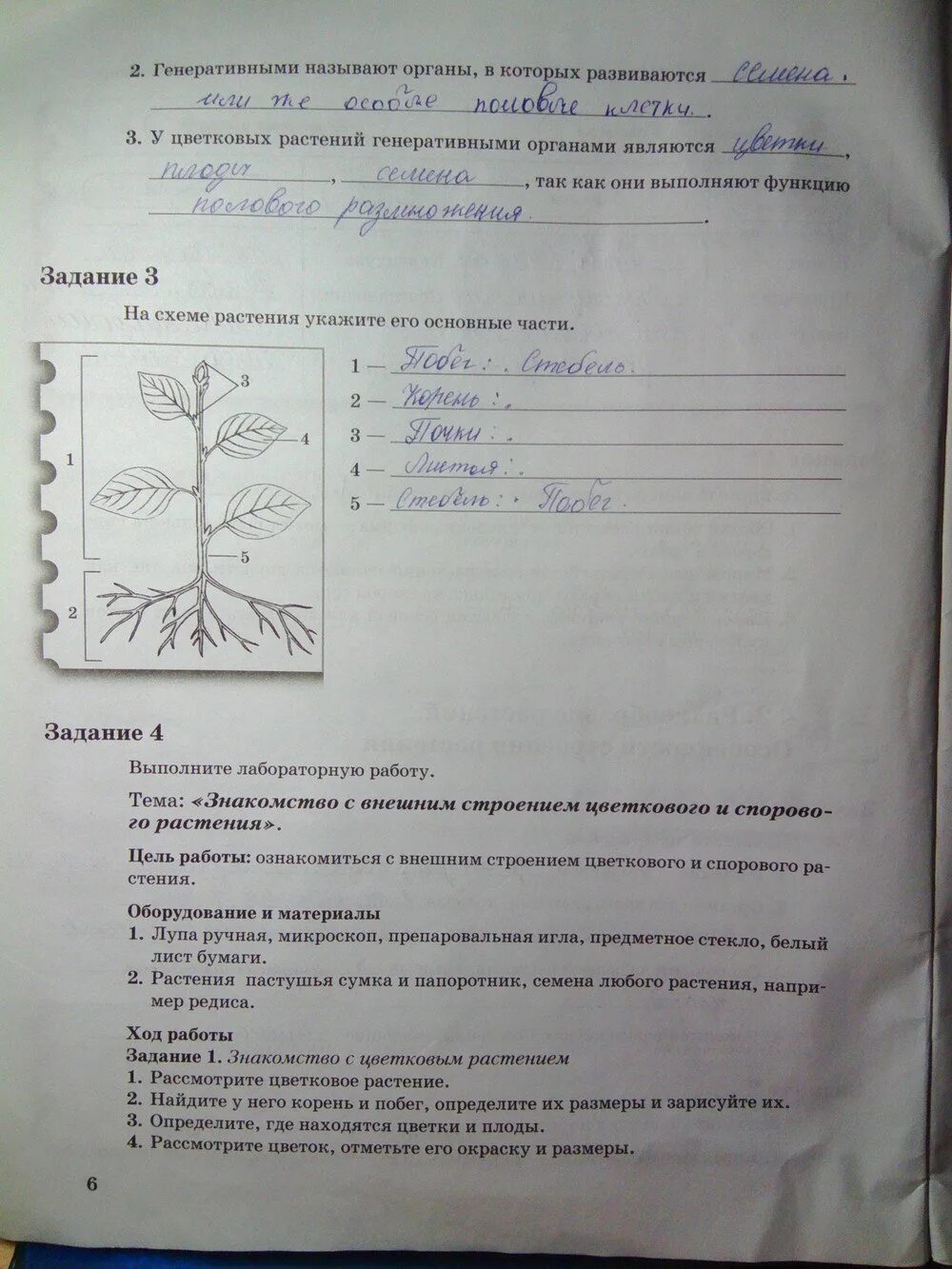 Лабораторная работа по биологии 6 класс. Биология 6 класс рабочая Пономарева Корнилова 2 часть. Биология рабочая тетрадь номер 1 Пономарева Корнилова Кучменко. Биология 7 класс тетрадь Автор Пономарева. Тетрадь по биологии и Корнилова Пономарева 6 класс.