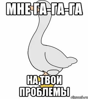 Гуси без матов