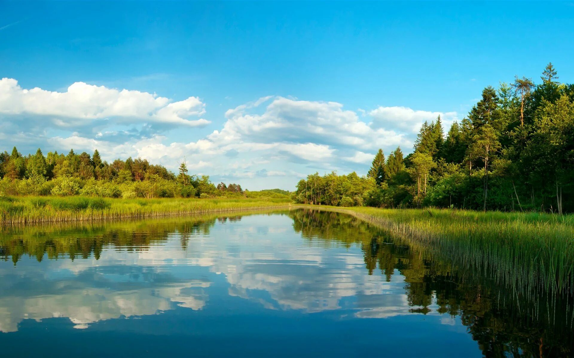 Покажи картинки лета. Река Людовна. Река Людовна Ленинский район. Летняя природа. Пейзаж с рекой.