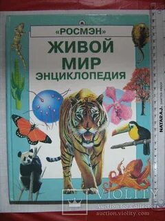 Живое аннотация