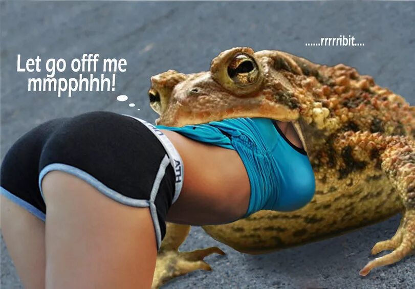 Девушка и лягушка. Девушка и лягушка. Целует лягушку. Девушка и лягушка. Девушка жаба.