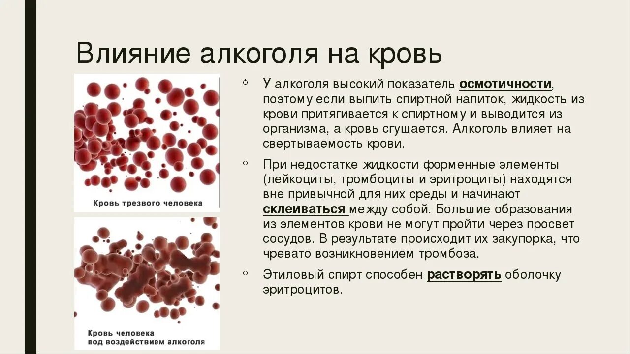 Сколько течет кровь. Влияние спирта на эритроциты. Влияние спирта на кровь.