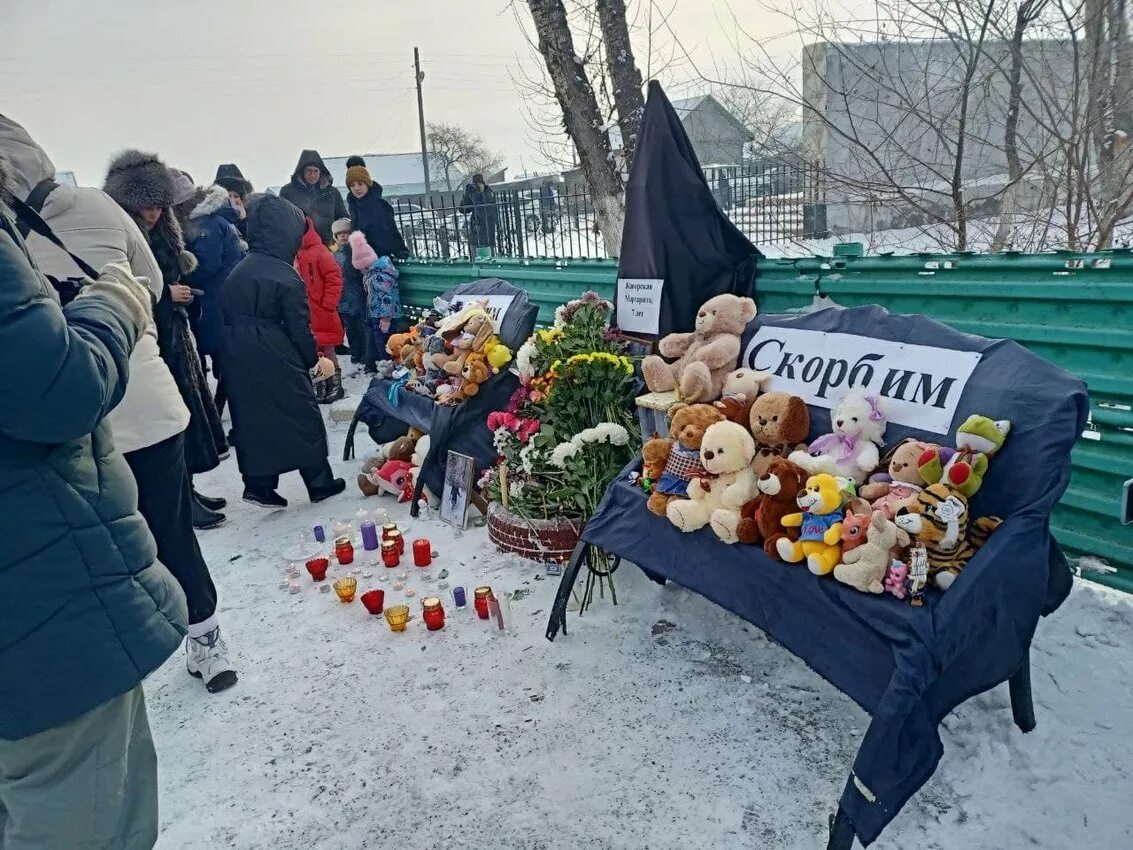 В Забайкалье девочку загрызли собаки. Бродячие собаки загрызли ребенка. Бездомные собаки загрызли девочку. Женщина умерла спасая