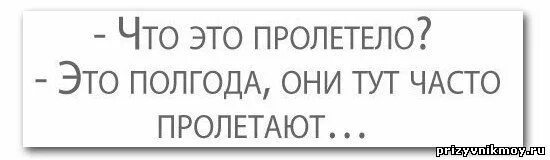Что было полгода назад. Полгода пролетело. полгода службы пролетело. что это пролетело полгода они здесь часто пролетают. полгода это много или мало.