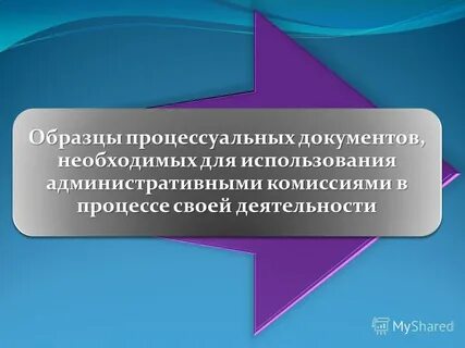 Проект процессуального акта