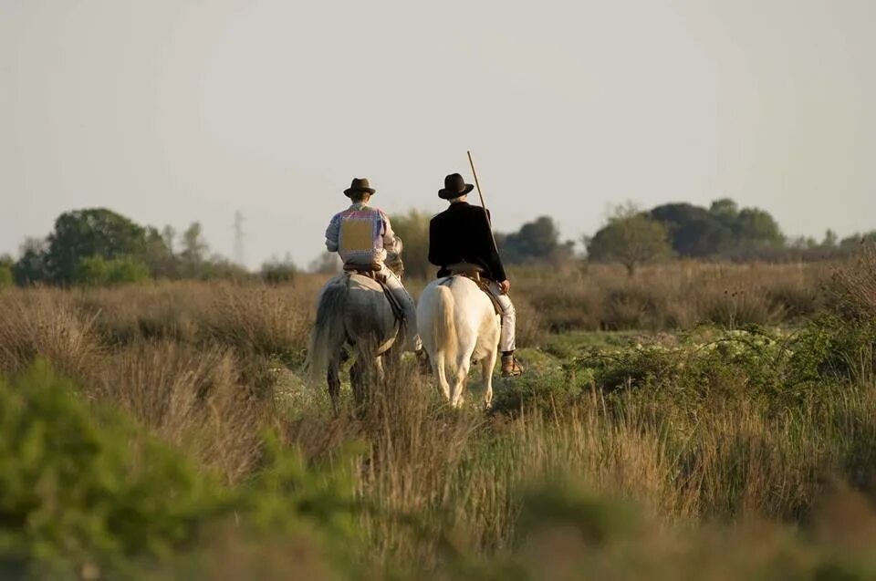 Девушка смотрит в смартфон. Mas de todo. Puedo. Todo. Mas de todo.