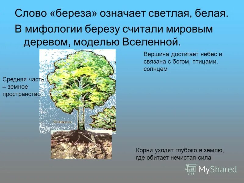 Облако закрыло солнце корни деревьев. Облако закрыло солнце корни деревьев