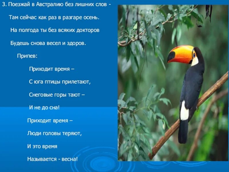 Текст песни приходи прилетай. Приходит время с Юга птицы прилетают. Поезжай в Австралию без лишних слов там. Приходит лето с Юга птицы. Птицы с Юга прилетают песня текст.