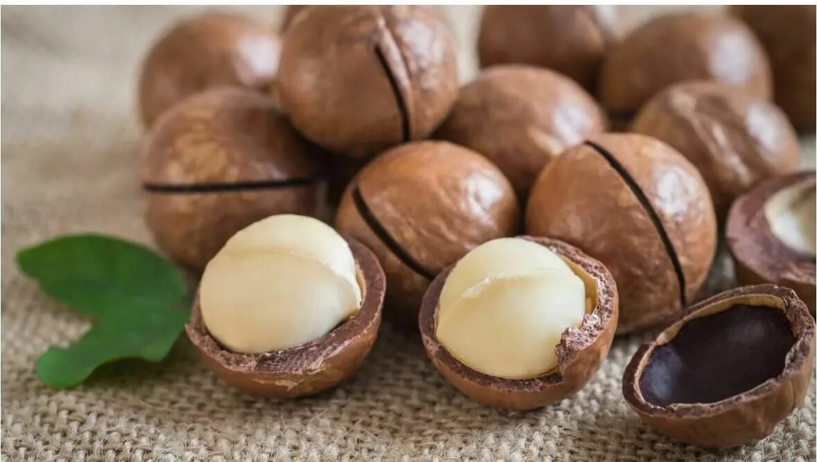 2019 SOUTH AFRICAN MACADAMIA INDUSTRY CROP OUTLOOK Produce Report