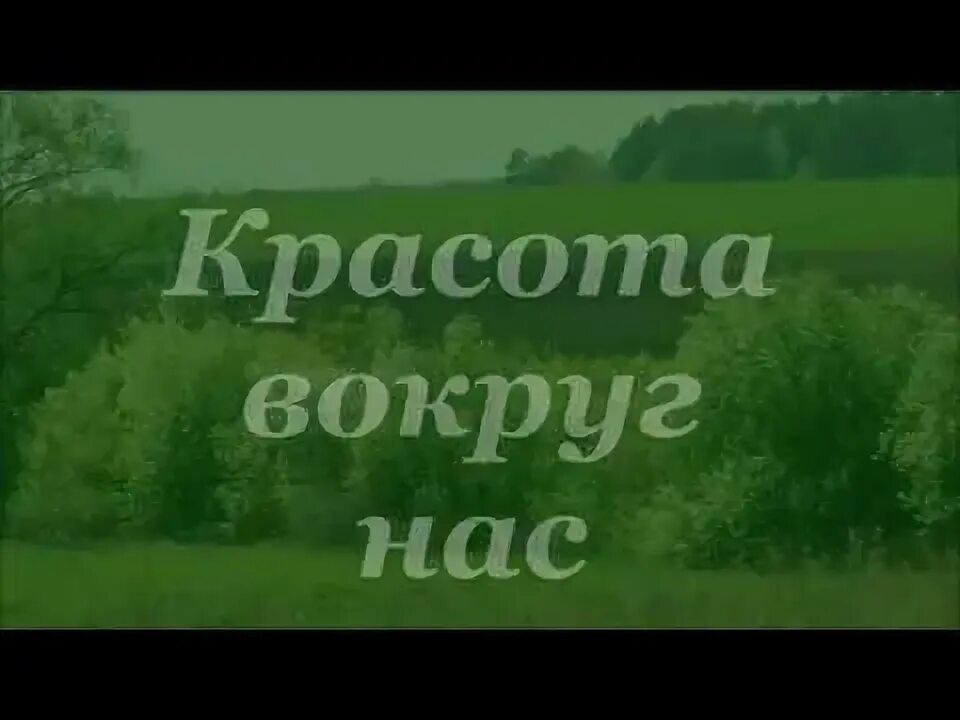Красота будет вокруг меня