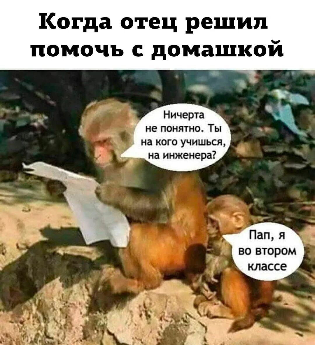 С приездом домой