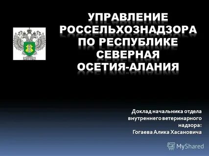 Надзор реферат