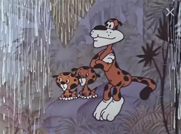 Дом для леопарда. Дом для леопарда 1979. домик для леопарда.