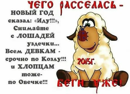 Что сказать этому году