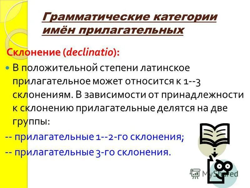 Группы прилагательных в латинском. Грамматические категории имени прилагательного в латинском. Грамматические категории имен прилагательных. Прилагательное на латинском. Грамматические категории прилагательных в латинском.