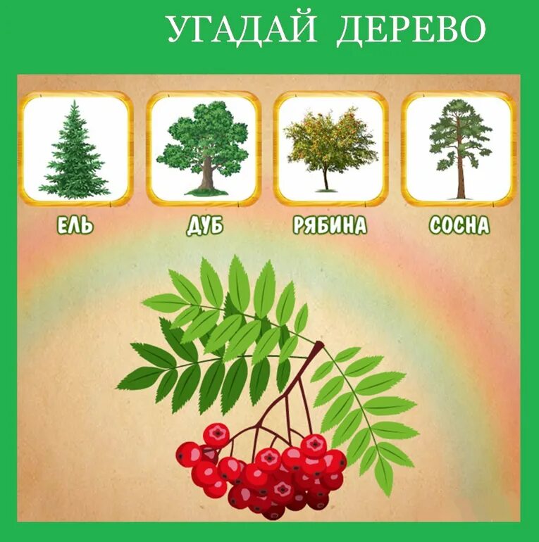 Угадай листочки