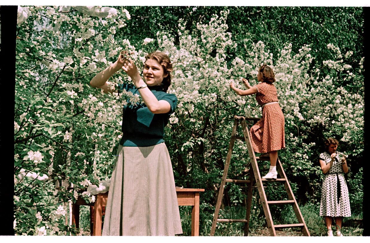 Советские плакаты. Радуясь оттепели. Кинематограф хрущев. Радость зимой. Дети радуются снегу.