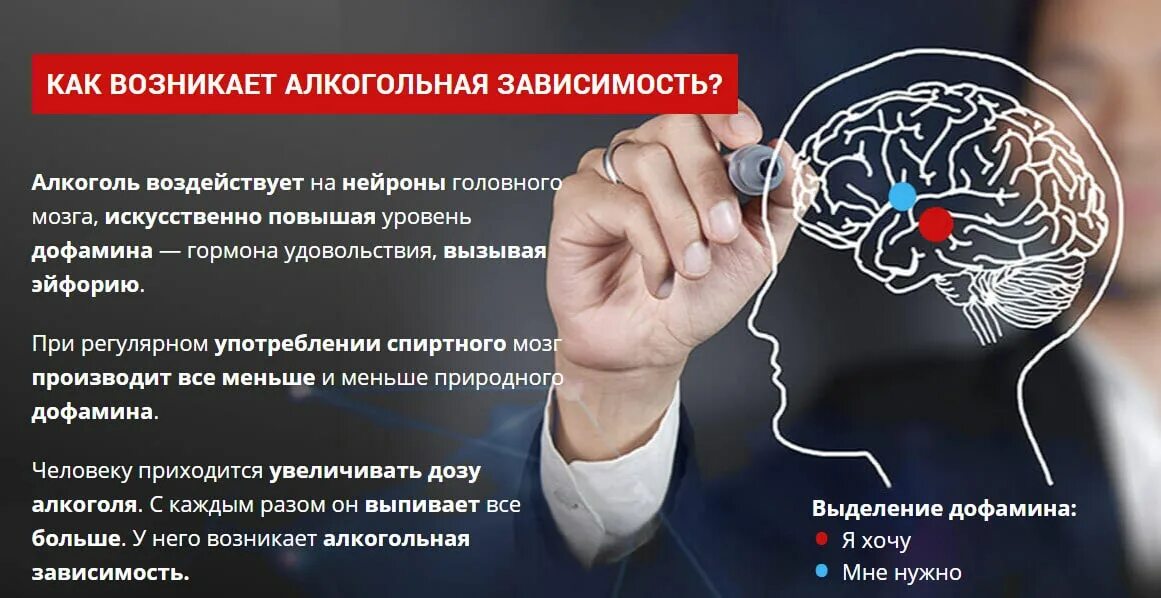 Дофаминовая зависимость. Как возникает алкогольная зависимость. Как возникает зависимость от алкоголя. Мозг и зависимость. Как возникает зависимость.
