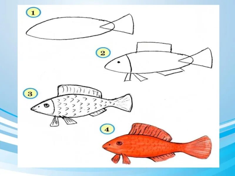 Рисунок 1.1. Красивые рыбы изо 1 класс. Рисование 1 класс. Рыбка изо. Изо 1 класс школа России красивые рыбы.