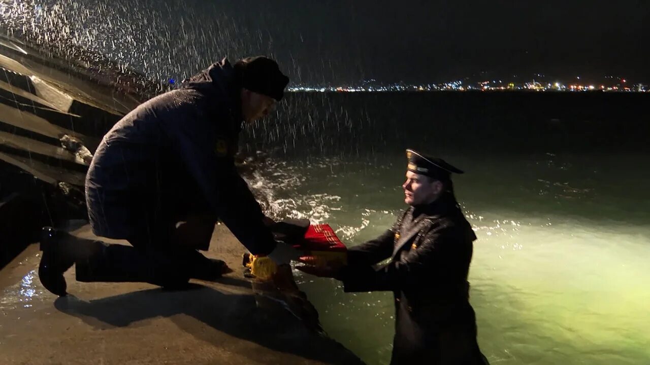 Новороссийск новости 2025 года. Бескозырка новороссийск. операция бескозырка. операция бескозырка новороссийск. бескозырка в новороссийске шествие.
