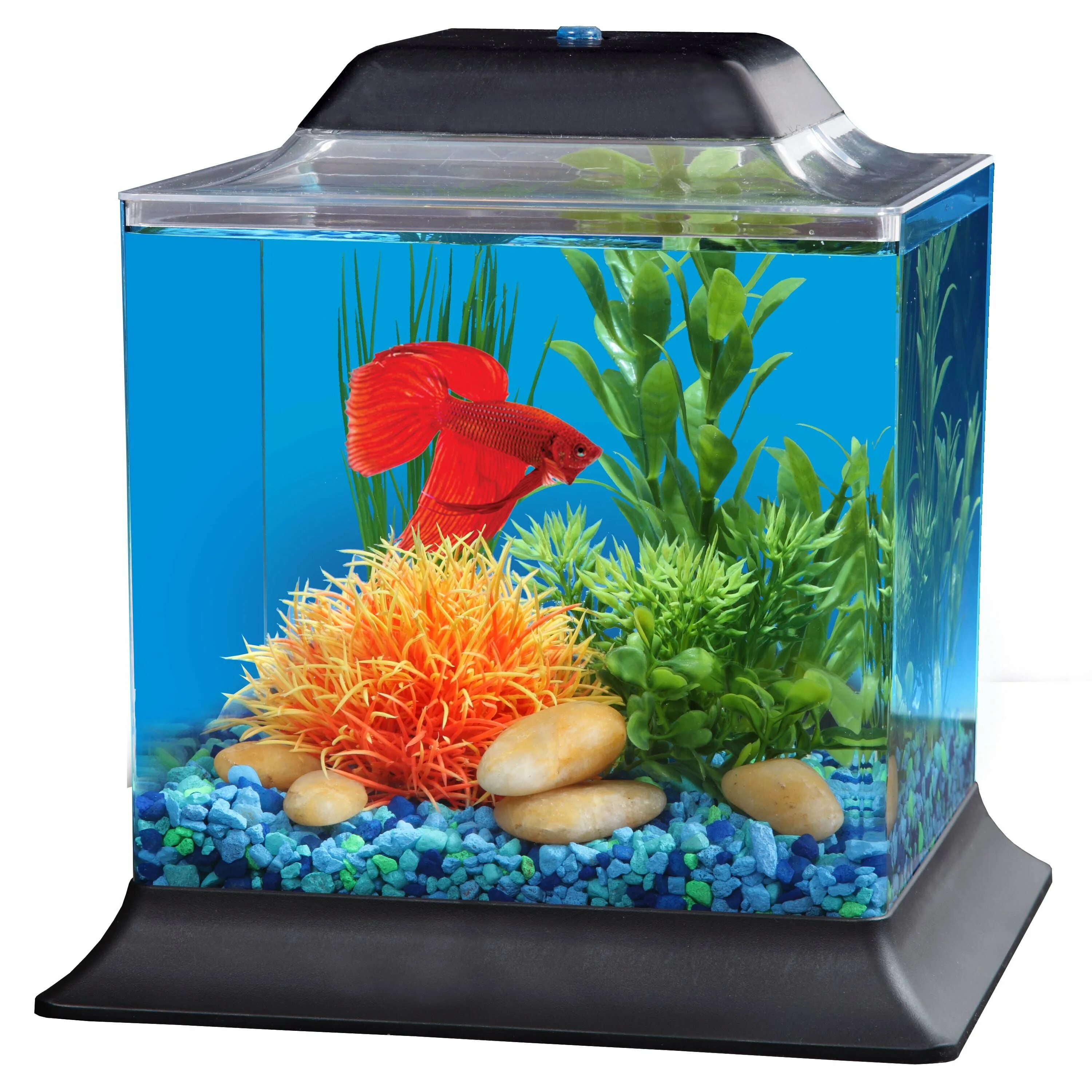 Снится аквариум с рыбками женщине. Аквариумы Aqueon 2 Gallon Betta Falls Aquarium Kit. Аквариум (Fish Tank) 2009. Betta Fish Aquarium. Betta Fish Tank.