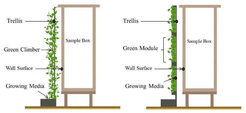 Green facade diagram. Зеленая стена схема. Зеленая стена в помещении схема. Curtain Front of Green Wall.