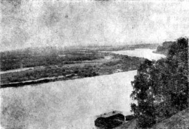 Лев трубе