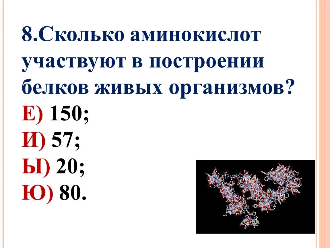 Сколько всего аминокислот. Сколько аминокислот принимают участие в построении белков. Сколько аминокислот участвуют во. Сколько аминокислот в организме человека.