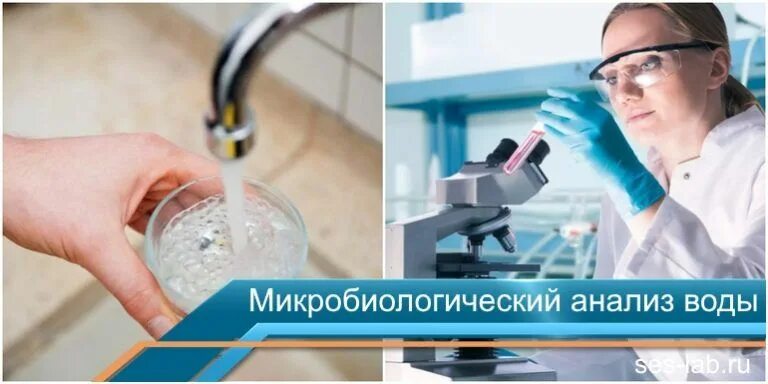 Микробиологический анализ проб воды. Микробиологическое исследование воды. Микробиологический анализ воды. Микробиологическое исследование питьевой воды. Санитарно микробиологические питьевой воды.