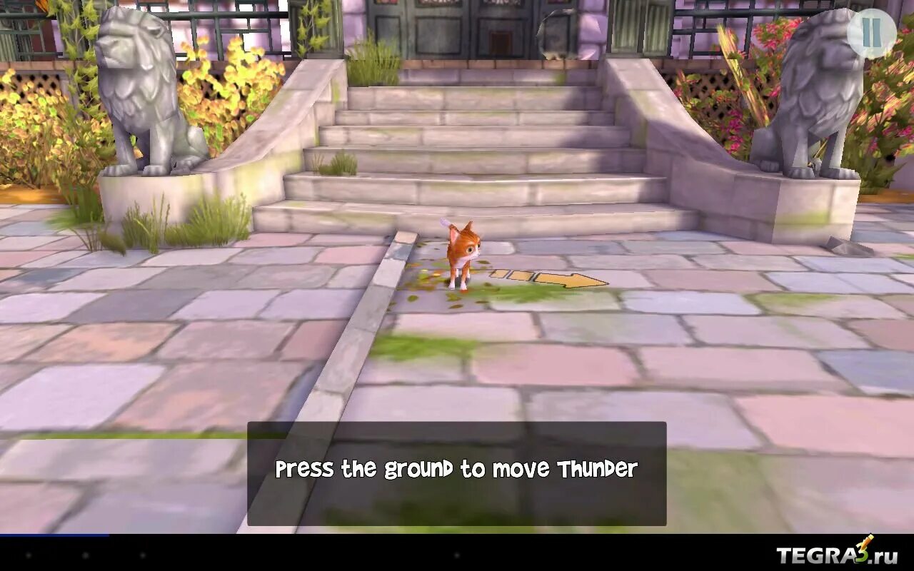 Кот гром и заколдованный дом игра. Кот гром и заколдованный игра. Заколдованный дом. Кот гром озвучка. Кот гром и заколдованный дом мультфильм 2013.