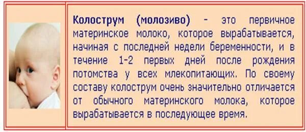 Когда приходит молоко. Появление молока после родов. Сколько молока приходит после родов. Сколько вырабатывается молоко после родов.