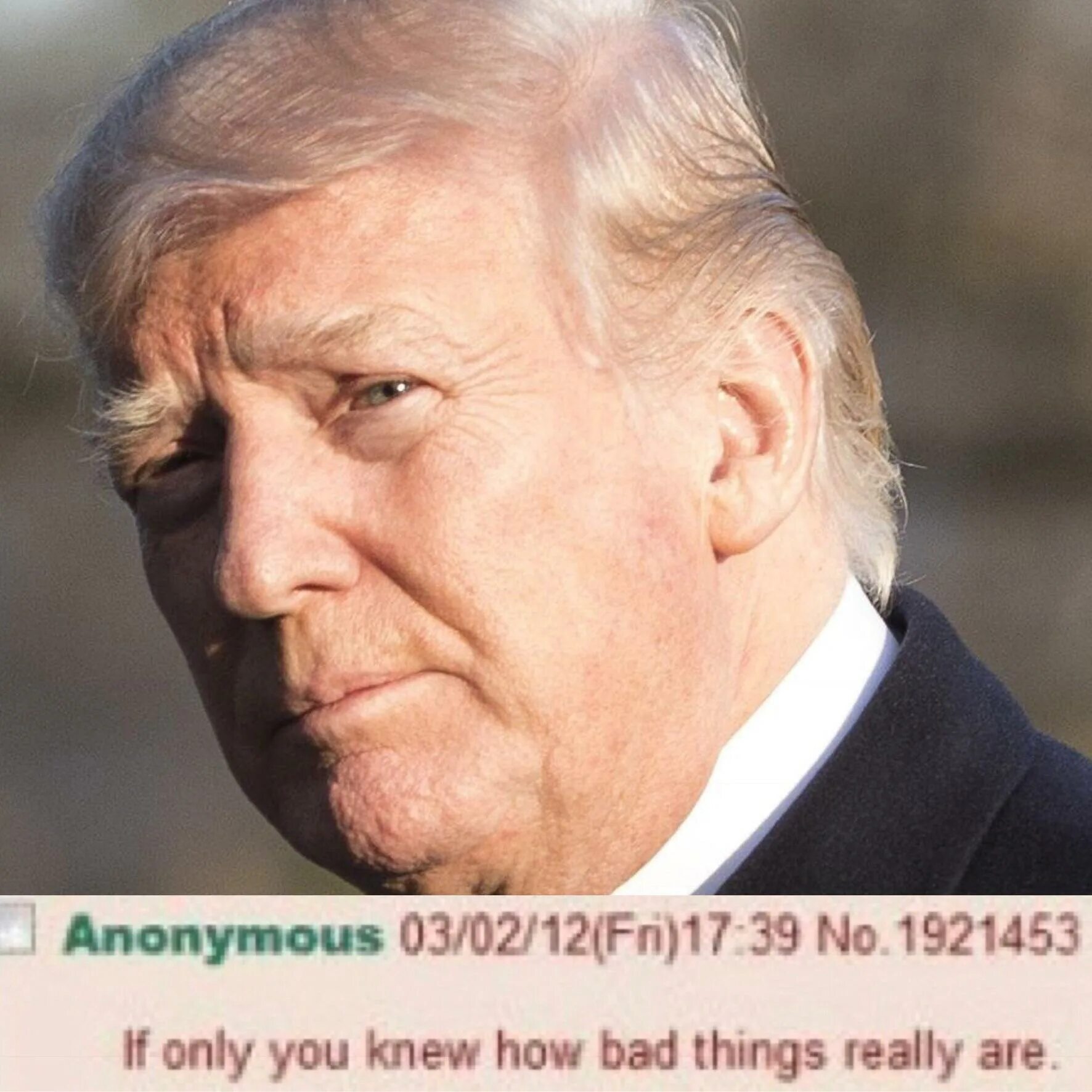 Were really. If only you knew how Bad things really are. If you only knew how things are really are. If only you knew how Bad things really are meme. If only you knew how.