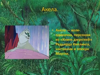 Характеристика маугли