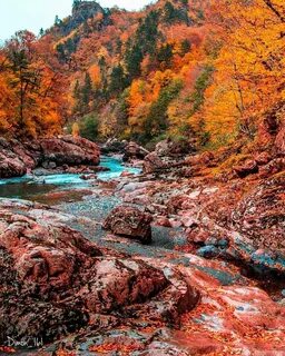 Погода в краснодарском крае в ноябре