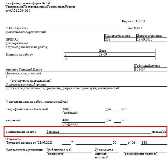 Договор с испытательным сроком на 3 месяца. Приказ о приеме на работу с испытательным сроком 1 месяц. Приказ т-1 с испытательным сроком образец. Образец приказа о принятии на работу с испытательным сроком. Приказ о приеме на работу с испытательным сроком 1 месяц образец.