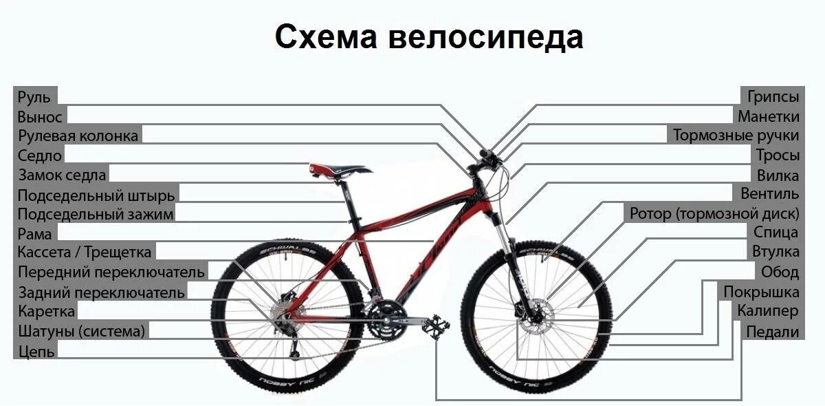 Скоростной велосипед стелс строение. Схема сборки велосипеда стелс. Схема велосипеда с названием деталей стелс. Схема сборки горного велосипеда. Сборка скоростного велосипеда