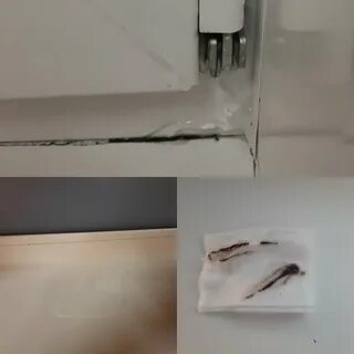 Плесень в палате. Сад, цветы, путешествия..про жизнь Дзен