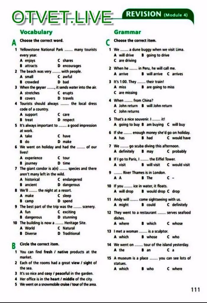 Grammar choose the correct word