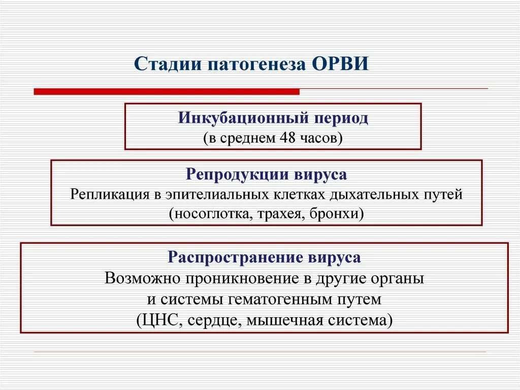 Развитие орви. Этапы заболевания ОРВИ. Этапы развития вирусной инфекции. Патогенез ОРВИ. Стадии патогенеза ОРВИ.